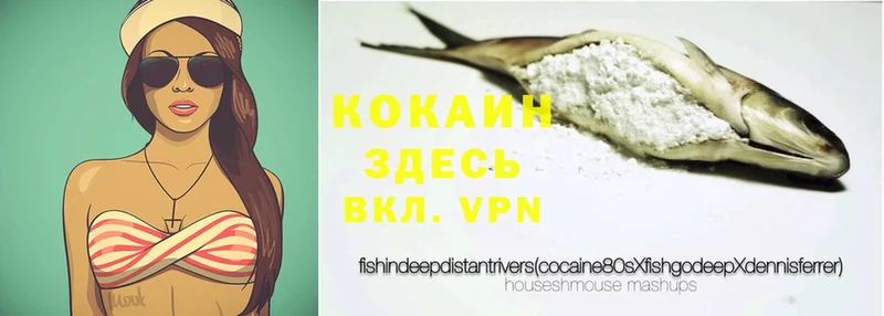 Кокаин Fish Scale  ОМГ ОМГ онион  Звенигово 