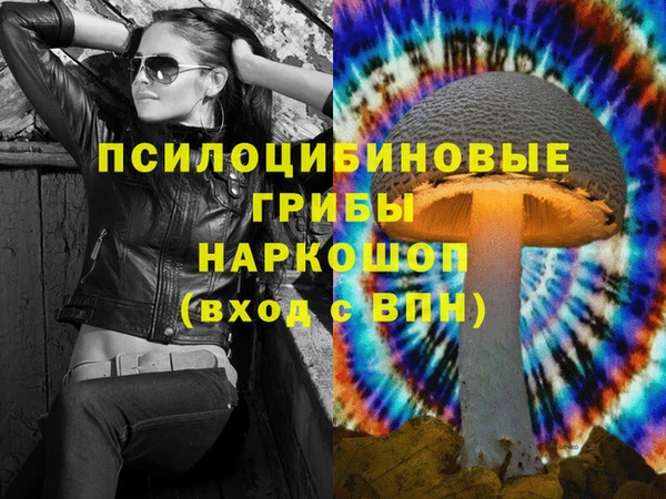 гидропоника Медногорск