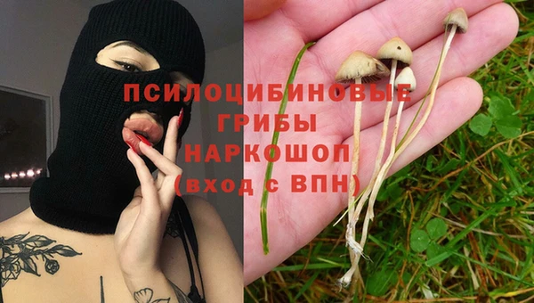 дмт Белокуриха