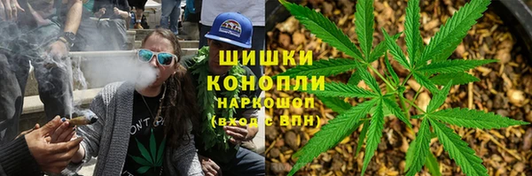 дмт Белокуриха