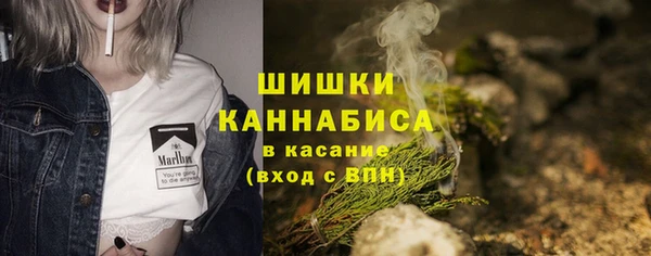 гидропоника Медногорск