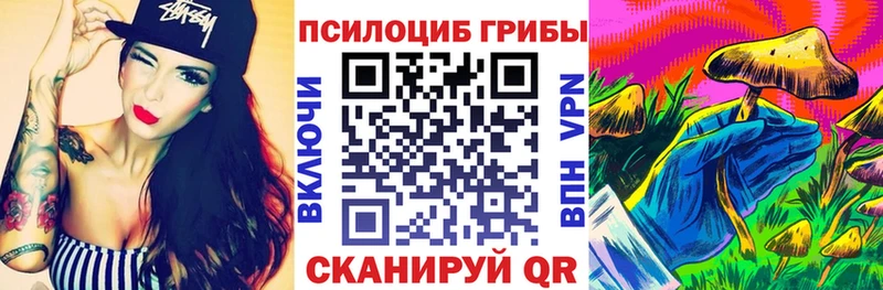 Галлюциногенные грибы мицелий закладки дарк нет телеграм Звенигово